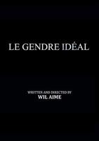 《完美女婿》中文版